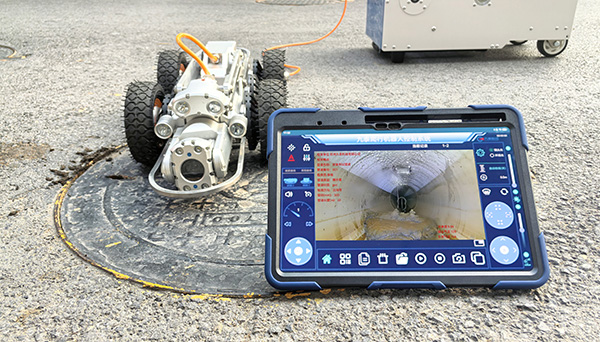 IMG_20241028_155643 (2).jpg